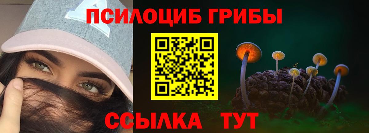 Псилоцибиновые грибы ЛСД  Вход с VPN  Псилоцибиновые грибы Magic Shrooms  Углич 